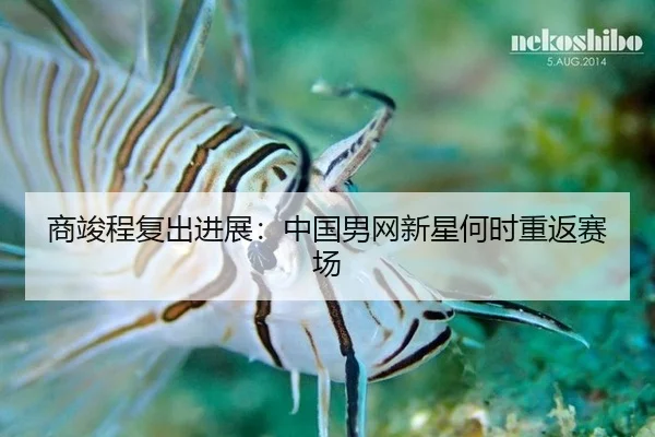 商竣程复出进展：中国男网新星何时重返赛场