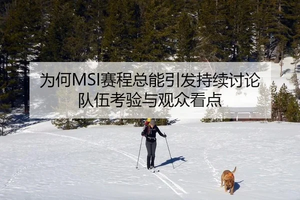 为何MSI赛程总能引发持续讨论 队伍考验与观众看点
